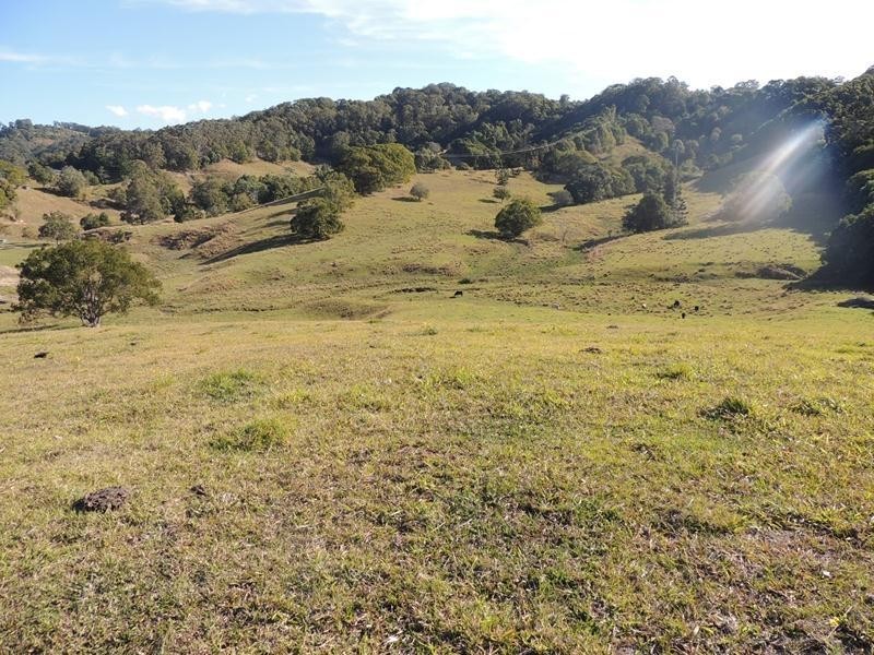 571 Clothier Creek Road, Clothiers Creek NSW 2484