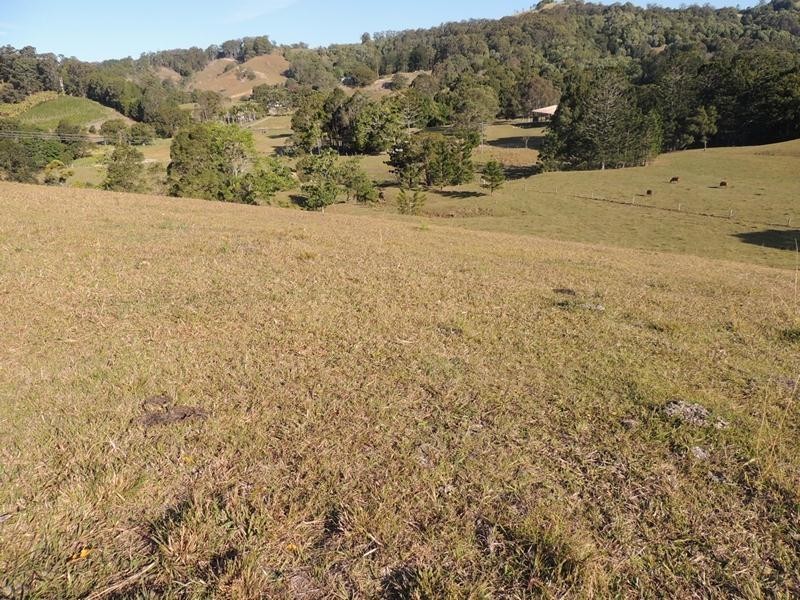 571 Clothier Creek Road, Clothiers Creek NSW 2484