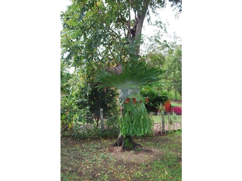 Murwillumbah NSW 2484