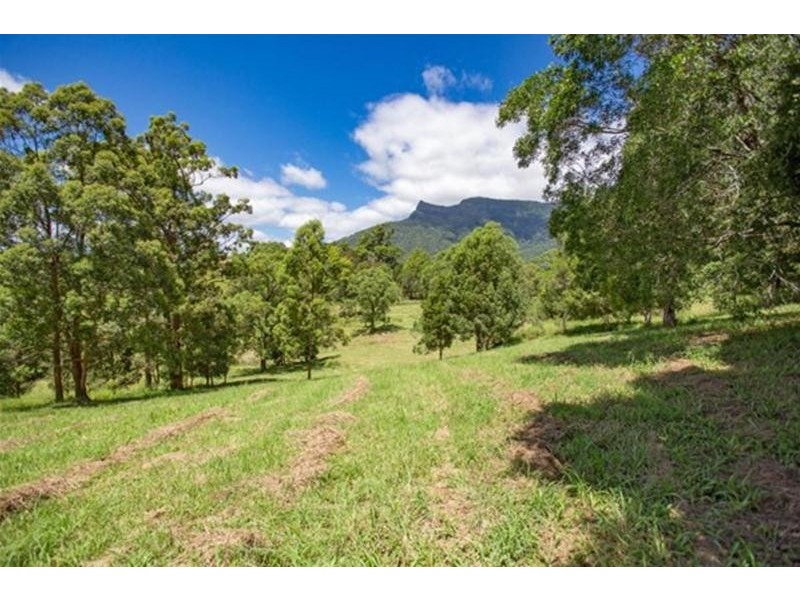 146 Everinghams Road, Pumpenbil, Tyalgum NSW 2484