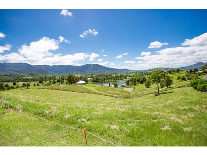 146 Everinghams Road, Pumpenbil, Tyalgum NSW 2484