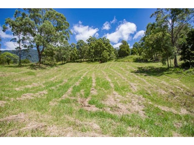 146 Everinghams Road, Pumpenbil, Tyalgum NSW 2484