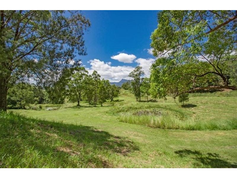 146 Everinghams Road, Pumpenbil, Tyalgum NSW 2484