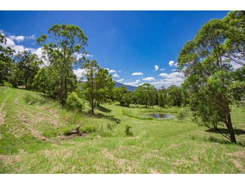 146 Everinghams Road, Pumpenbil, Tyalgum NSW 2484