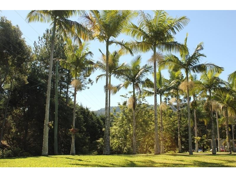 13 Malabar Avenue, Uki NSW 2484