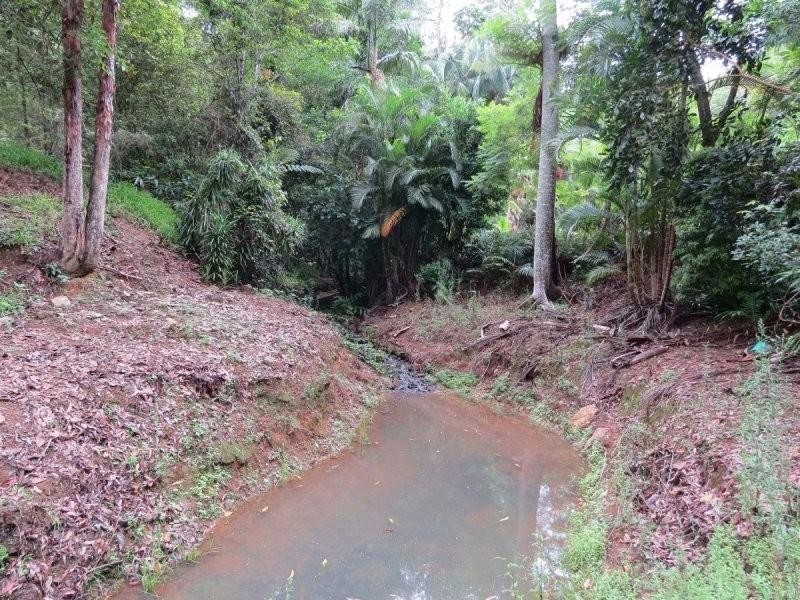 150 Braeside Drive, Uki NSW 2484