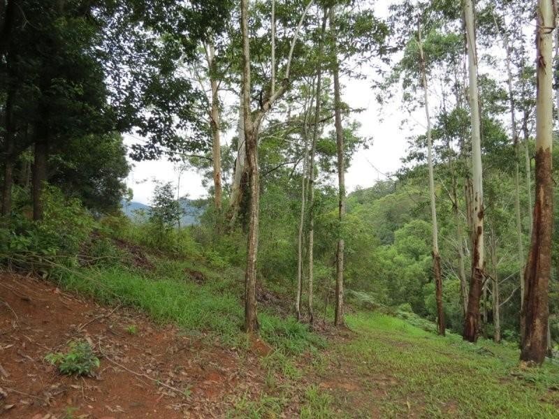 150 Braeside Drive, Uki NSW 2484