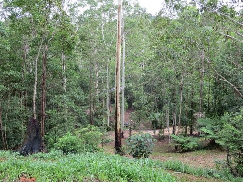 150 Braeside Drive, Uki NSW 2484