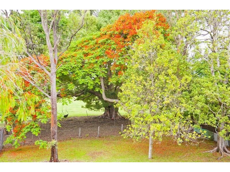 8 Kyogle Road, Murwillumbah NSW 2484