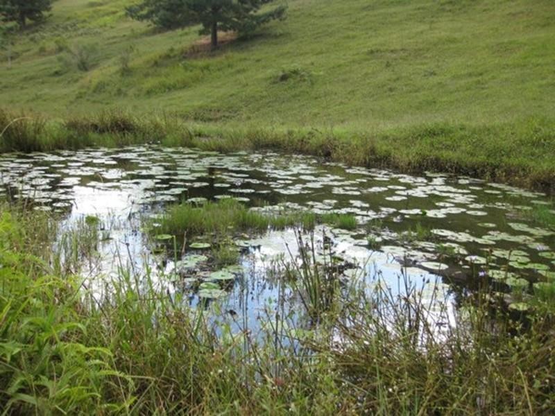 309 Chilcotts Road, Chillingham NSW 2484