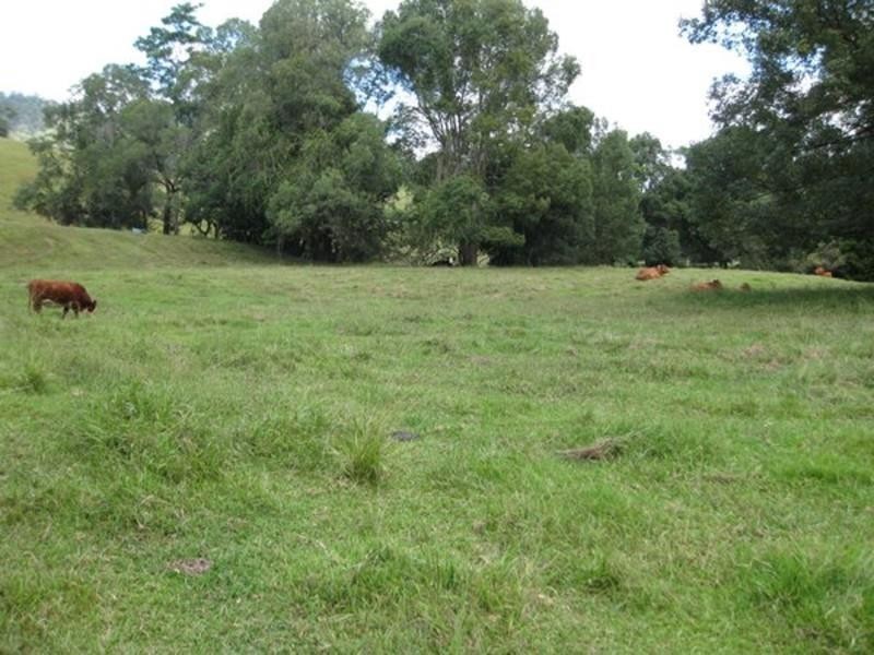 309 Chilcotts Road, Chillingham NSW 2484