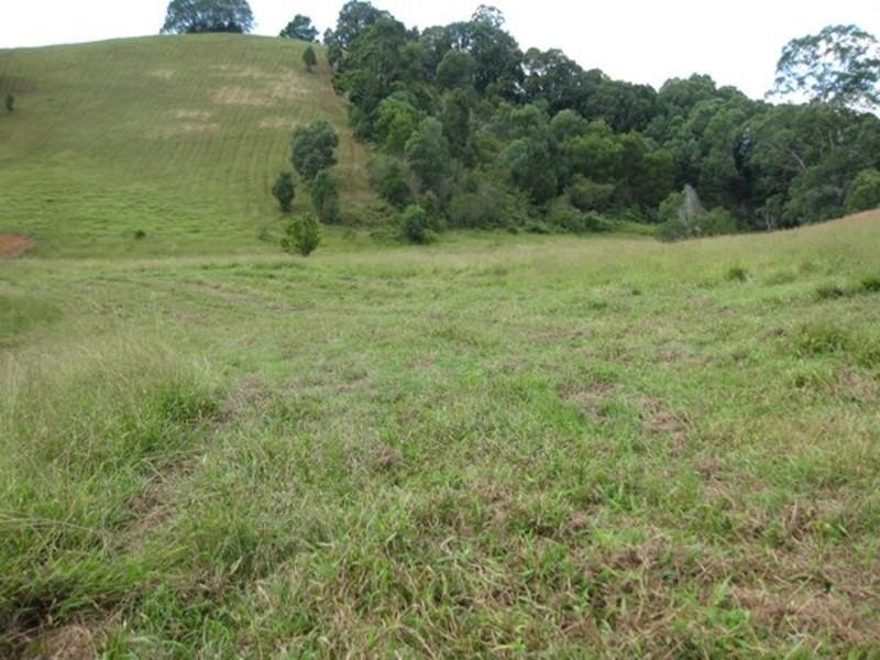 309 Chilcotts Road, Chillingham NSW 2484