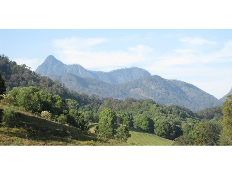 309 Chilcotts Road, Chillingham NSW 2484