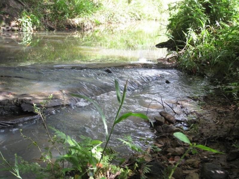 309 Chilcotts Road, Chillingham NSW 2484