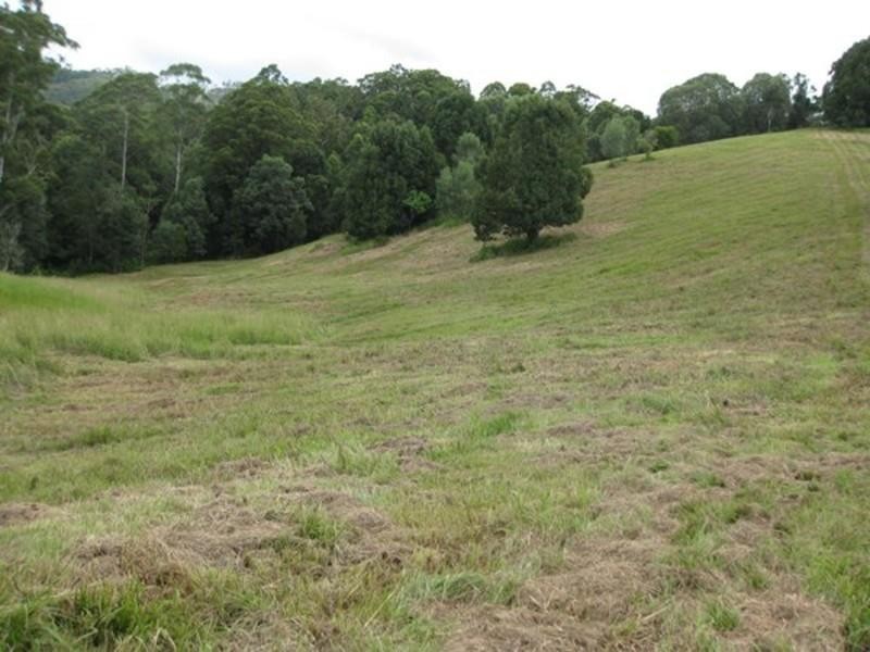 309 Chilcotts Road, Chillingham NSW 2484