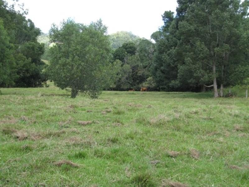 309 Chilcotts Road, Chillingham NSW 2484