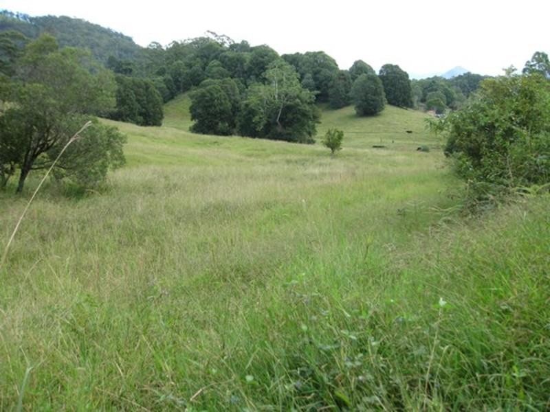 309 Chilcotts Road, Chillingham NSW 2484