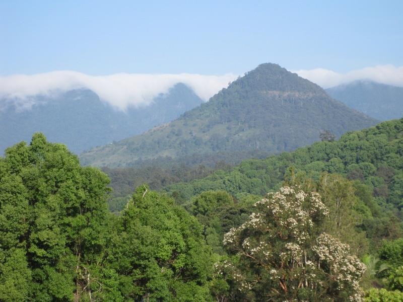 309 Chilcotts Road, Chillingham NSW 2484