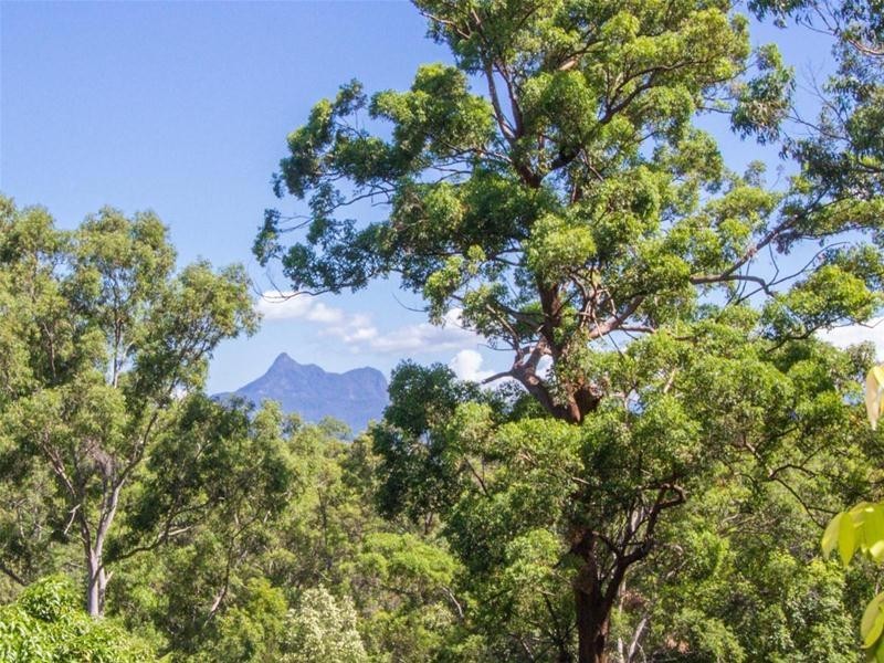 1179 Urliup Road, Urliup NSW 2484