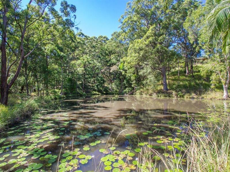 1179 Urliup Road, Urliup NSW 2484
