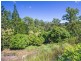 1179 Urliup Road, Urliup NSW 2484