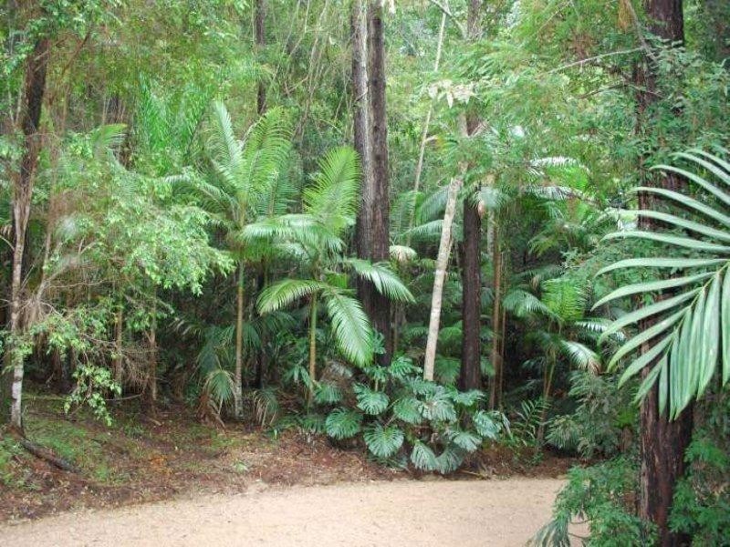 112 Mount Warning Road, Mount Warning NSW 2484