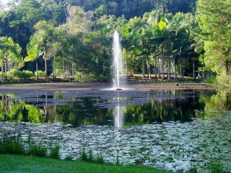 112 Mount Warning Road, Mount Warning NSW 2484