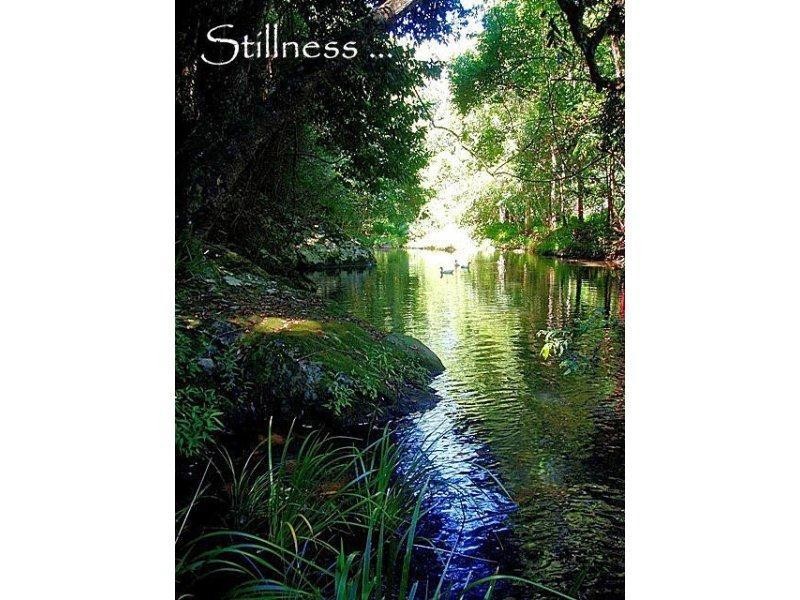 112 Mount Warning Road, Mount Warning NSW 2484