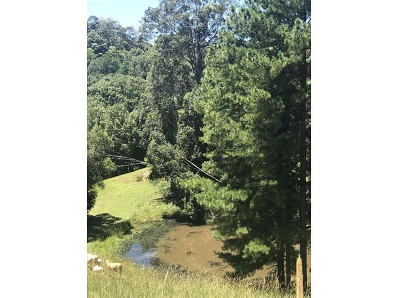 79 Malabar Drive, Uki NSW 2484