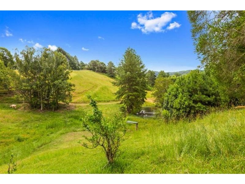 79 Malabar Drive, Uki NSW 2484