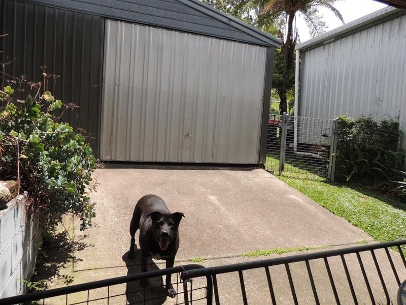 8 Beantree Road, Chillingham NSW 2484