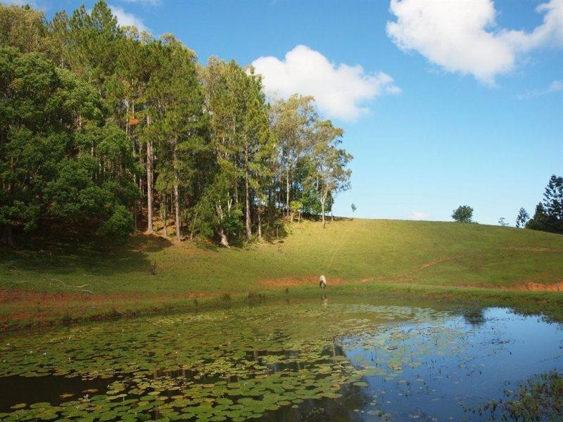 147 Pottsville Road, Mooball NSW 2483