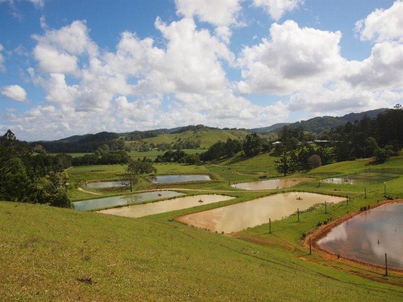 147 Pottsville Road, Mooball NSW 2483