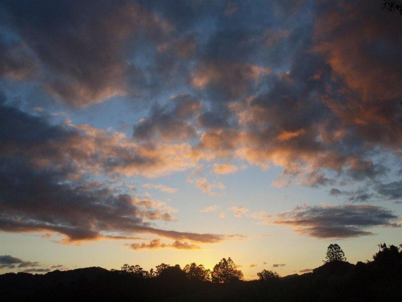 147 Pottsville Road, Mooball NSW 2483