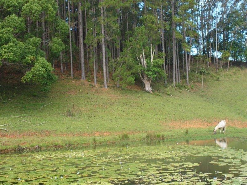 147 Pottsville Road, Mooball NSW 2483