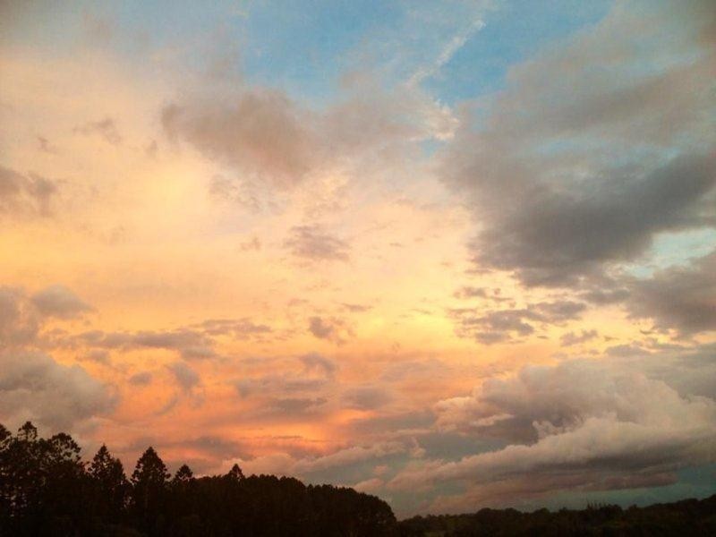 147 Pottsville Road, Mooball NSW 2483