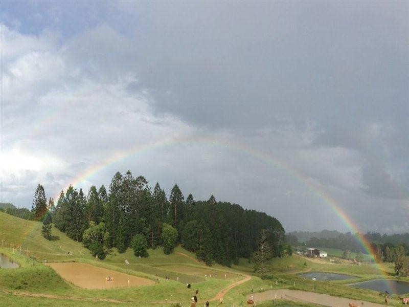 147 Pottsville Road, Mooball NSW 2483