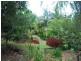 1 Neem Way, Nimbin NSW 2480