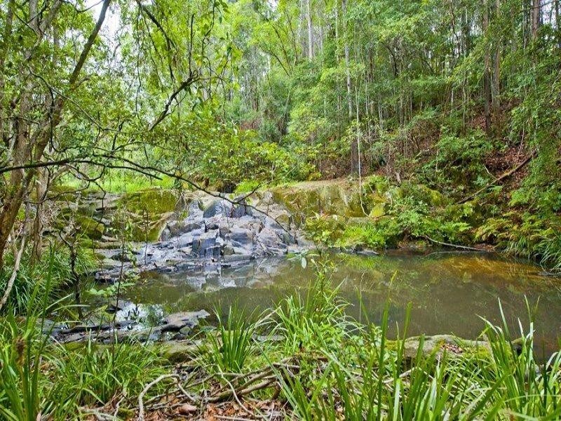 332 Zara Road, Chillingham NSW 2484