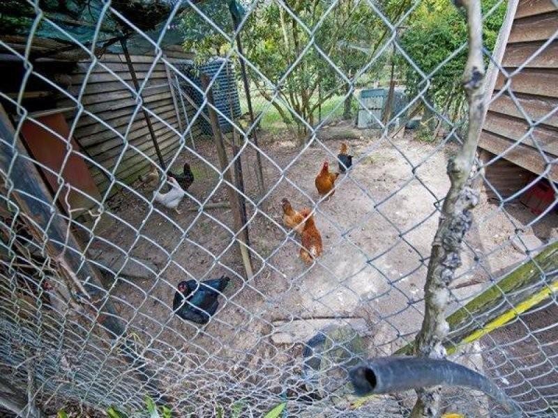 5 Summerhill Close, Stokers Siding NSW 2484