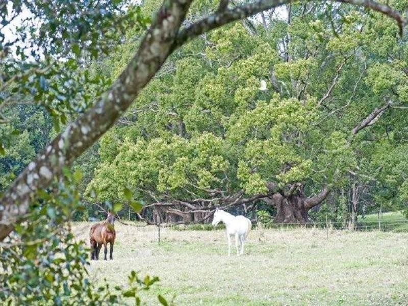 5 Summerhill Close, Stokers Siding NSW 2484