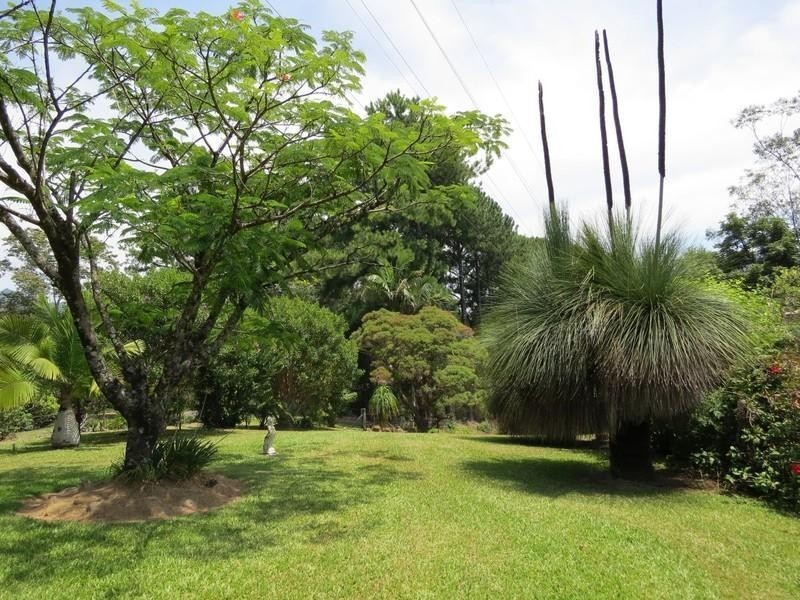 63 Malabar Avenue, Uki NSW 2484