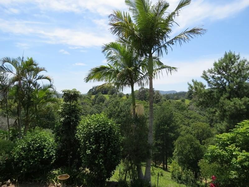 63 Malabar Avenue, Uki NSW 2484