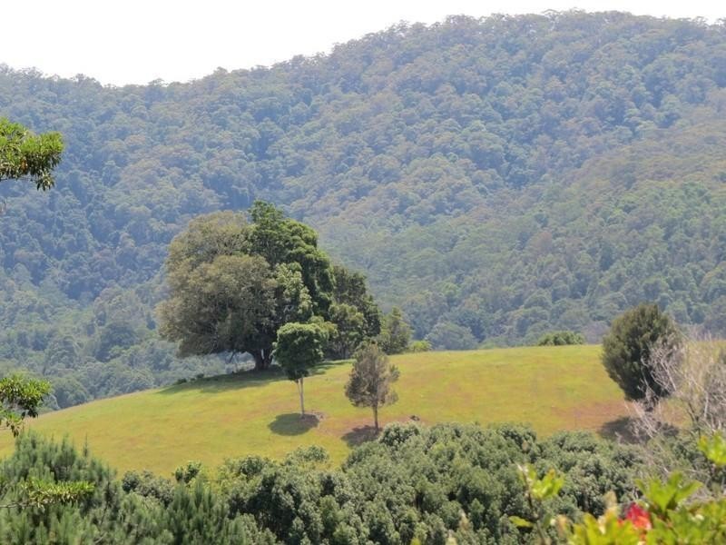 63 Malabar Avenue, Uki NSW 2484