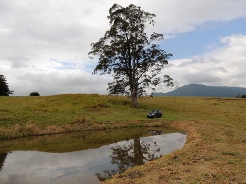 20 O’Briens Road, Mount Burrell NSW 2484