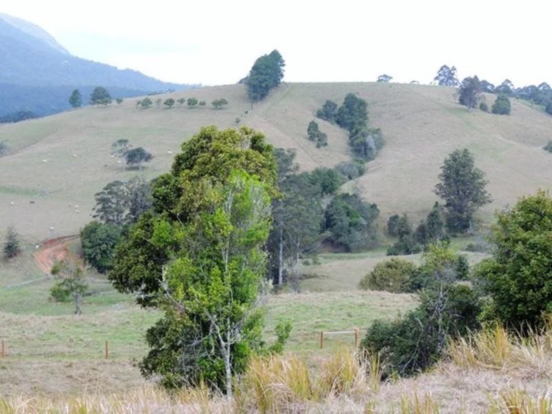 20 O’Briens Road, Mount Burrell NSW 2484