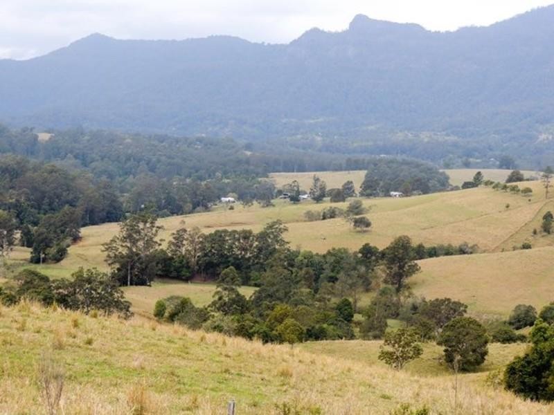 20 O’Briens Road, Mount Burrell NSW 2484