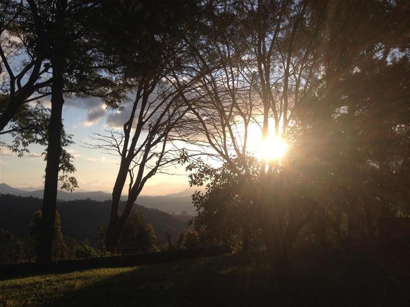 36 Sargents Road, Homeleigh NSW 2474