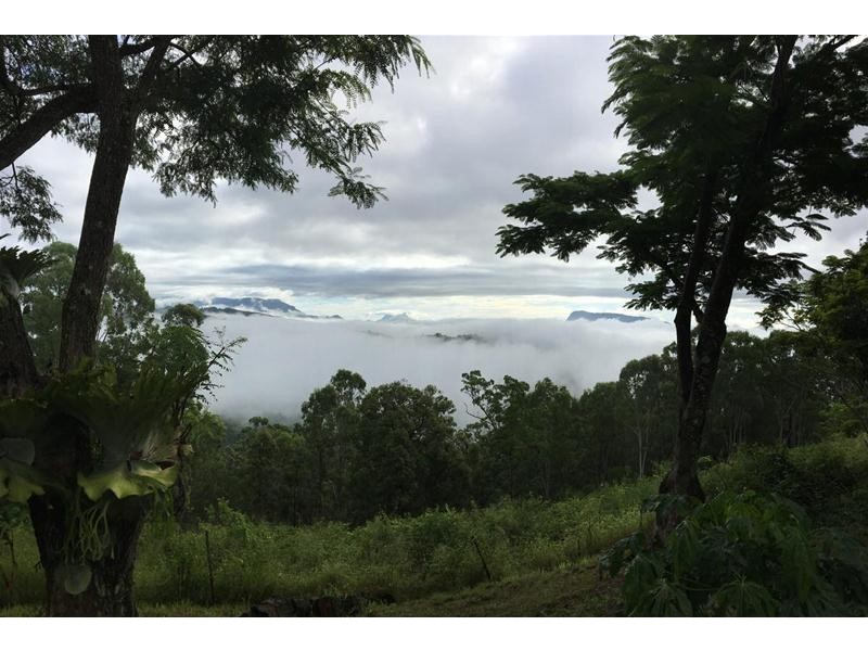 36 Sargents Road, Homeleigh NSW 2474