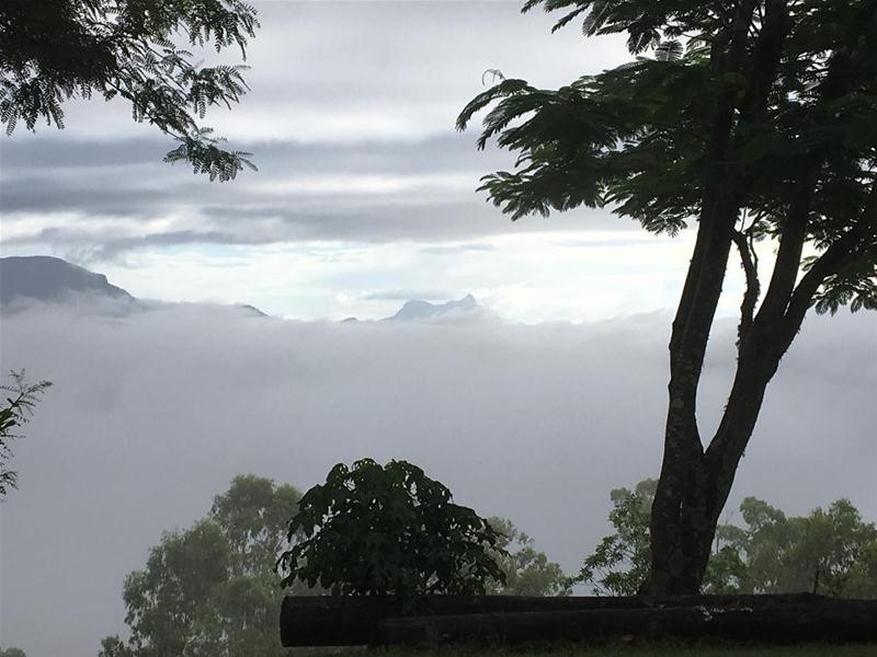 36 Sargents Road, Homeleigh NSW 2474